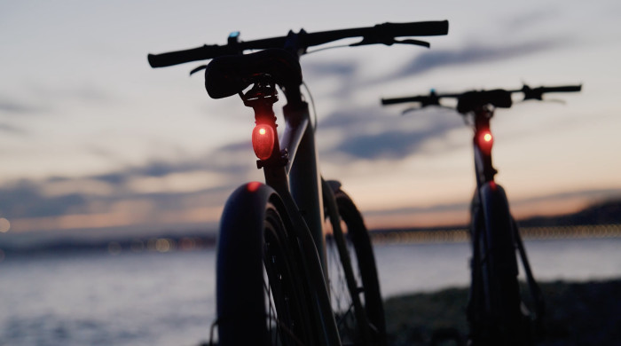 E-Bike Tenways CGO600 Pro (Bild: Hersteller)